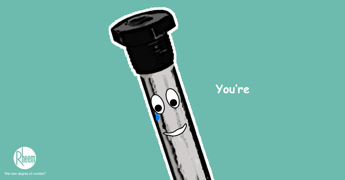anode rod